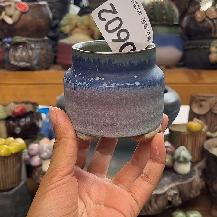 哈哈我真的好喜欢的呢602