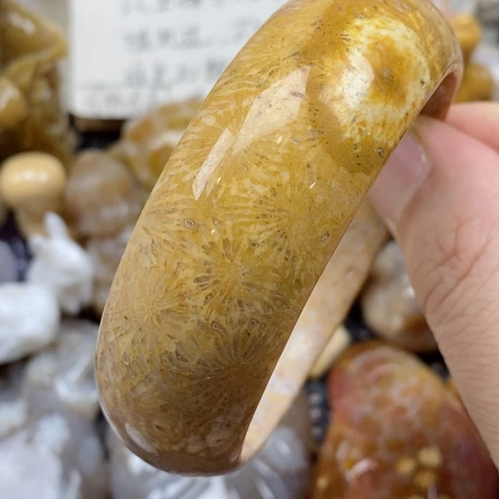 颈饰未镶嵌硅化珊瑚（珊瑚玉）有瑕 56