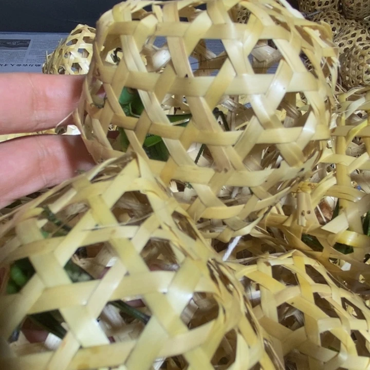 狼牙山野生绿蝈蝈2只包活包叫