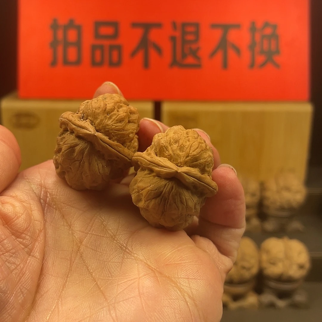 把件文玩核桃龙牙石