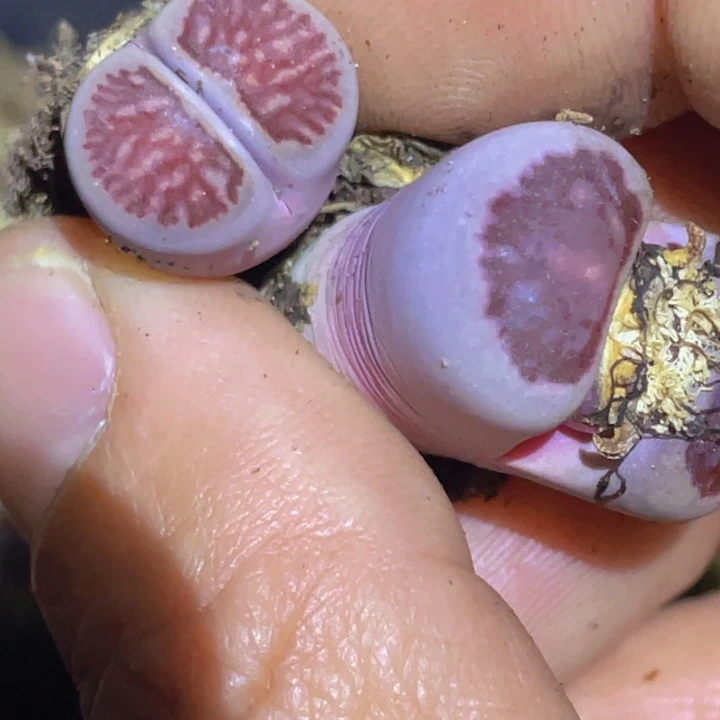 绘***绘78888578888878888088888