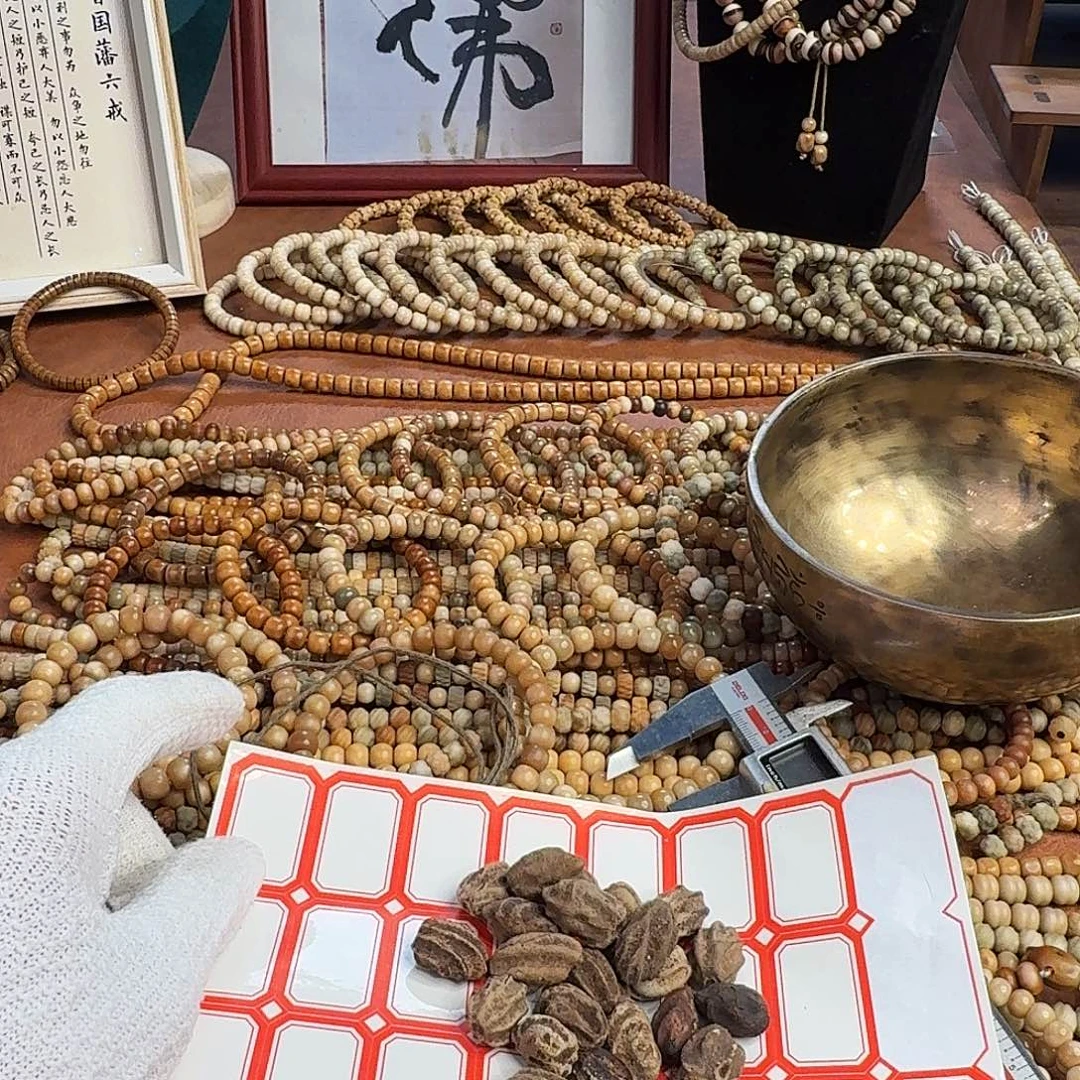吊坠菩提根/象牙果龙脊菩提散籽原料（20颗）不退不换