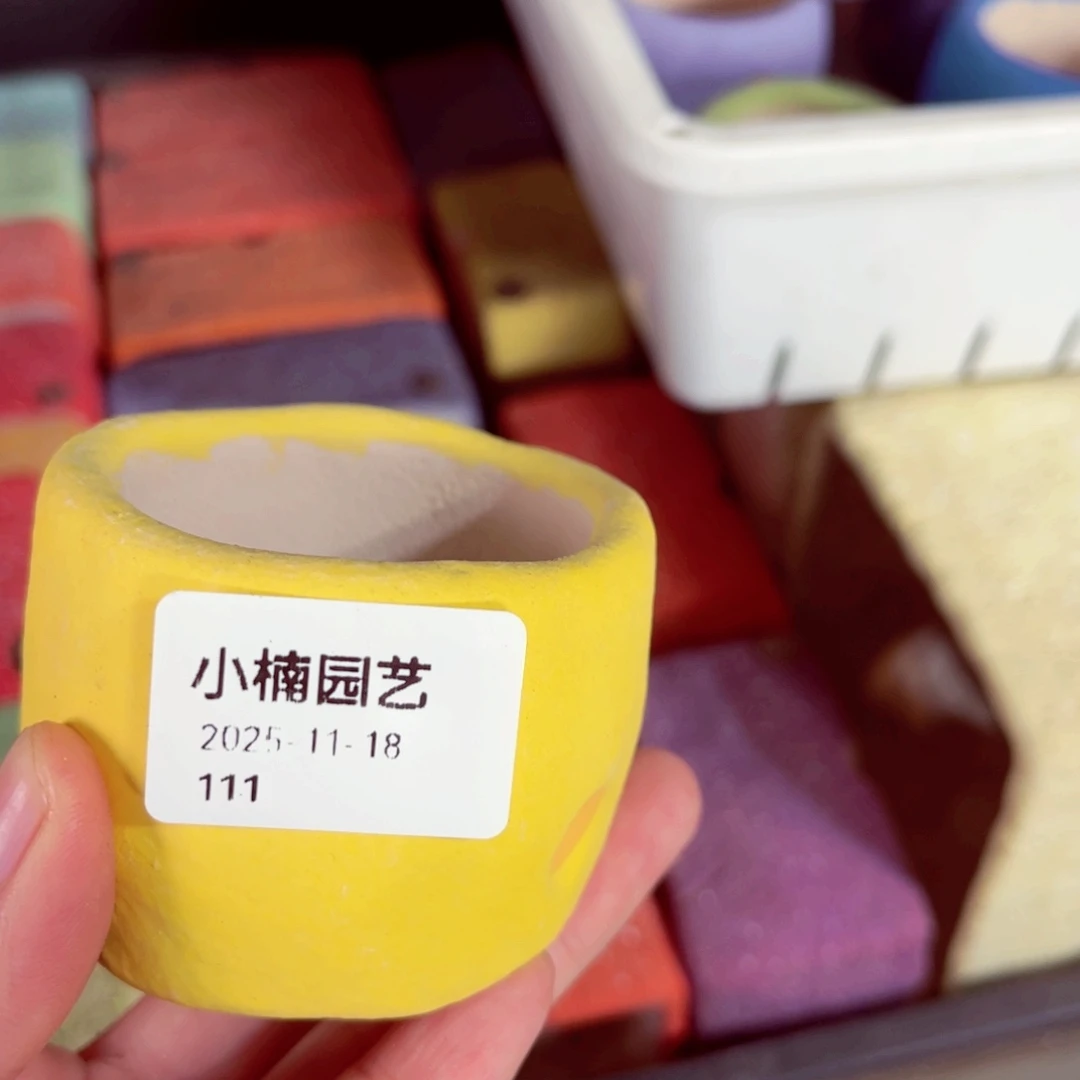 *****111号带盆包邮发货