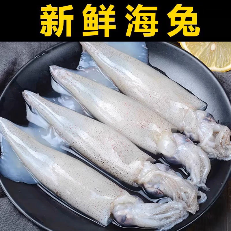 【5斤装】生海兔海兔子生海兔鱼冷冻鱿鱼新鲜墨斗鱼一斤10-15条左右