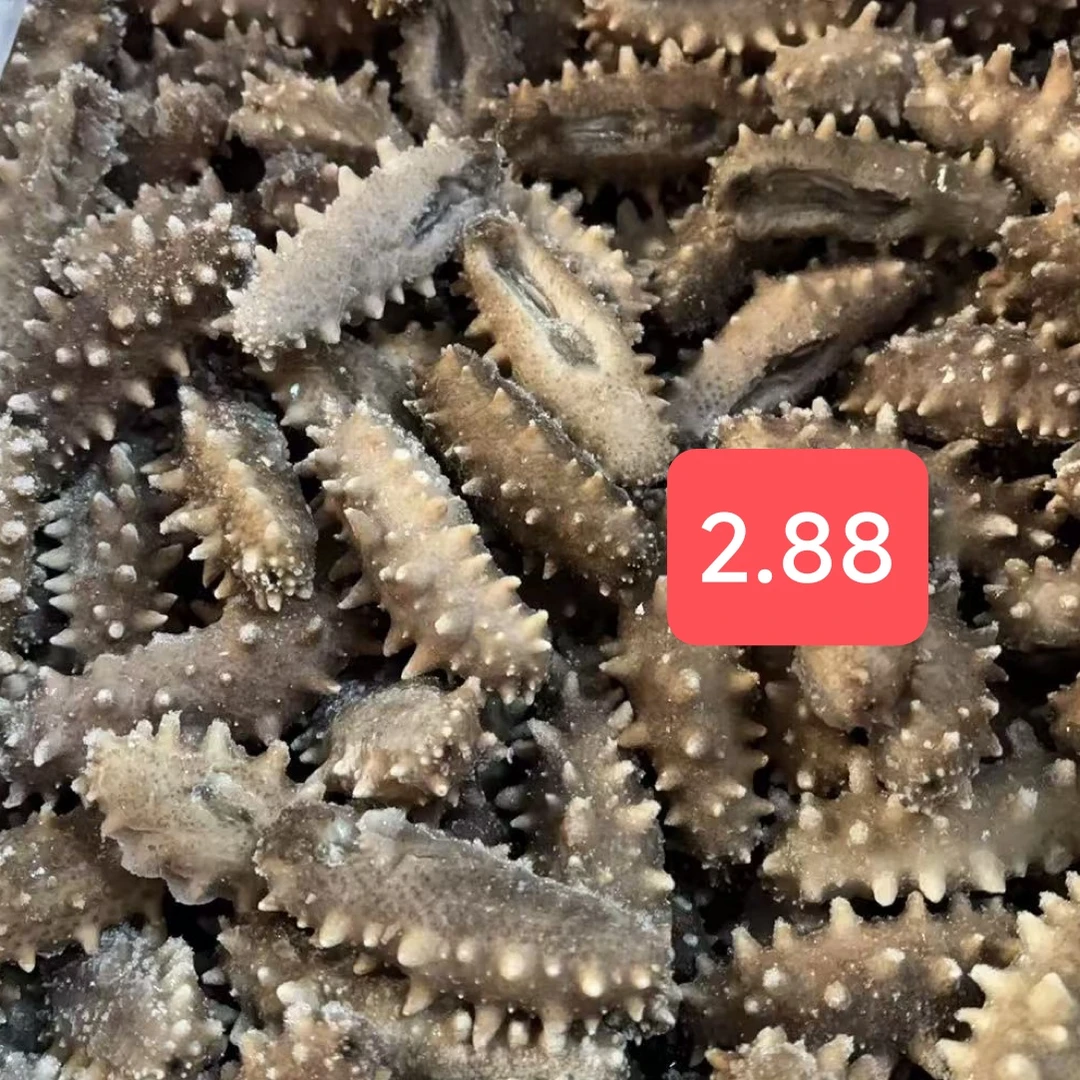 【优惠鲜食海参】解冻即食海参 顺丰包邮 大连海参