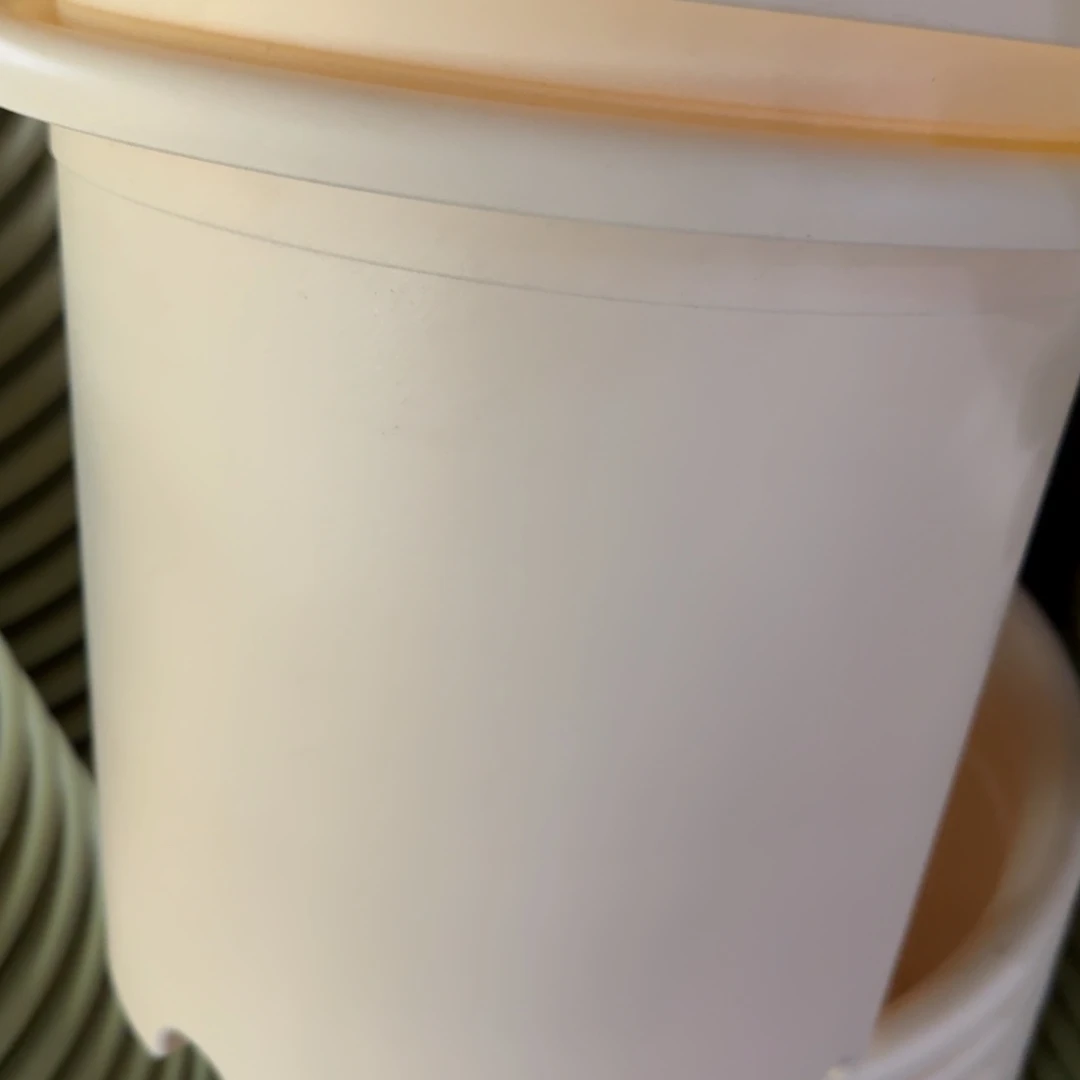 四季6号米黄色2个带拖➕210托盘米黄色5个