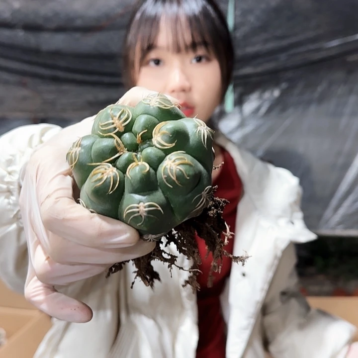 海王11111111111111