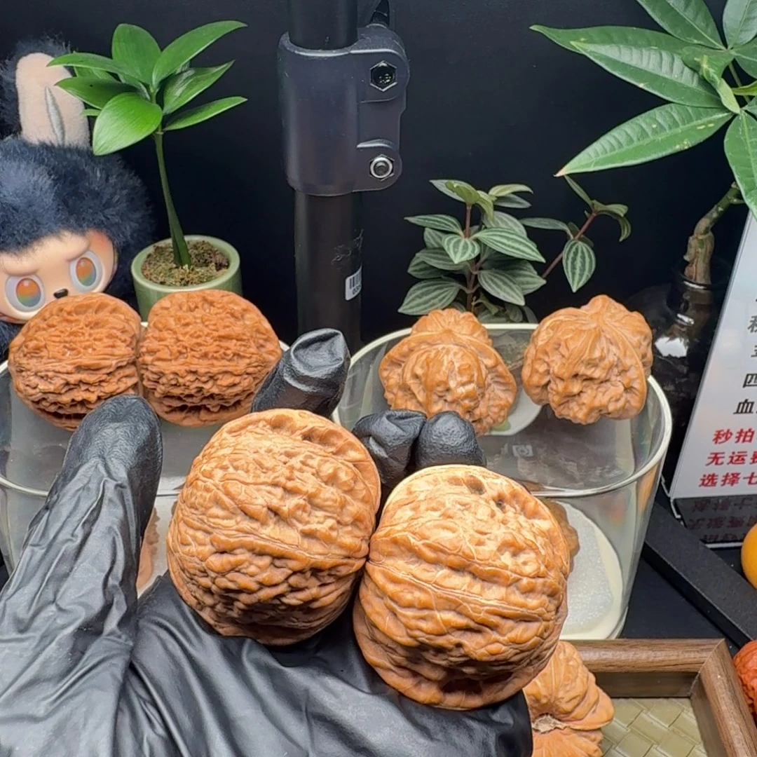 W****把件龙脊菩提大克重全品41铁锤