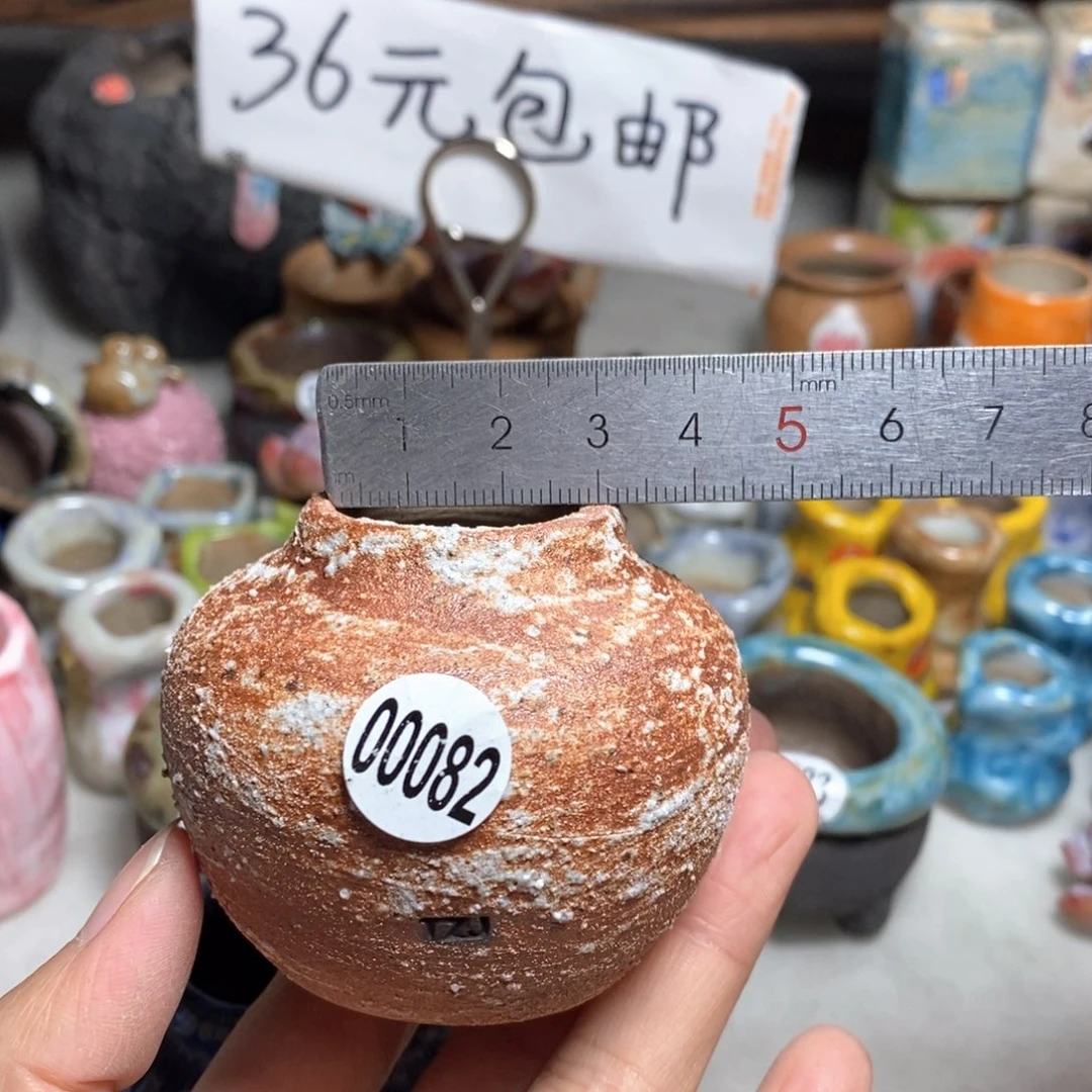 拍5送一个小礼物
