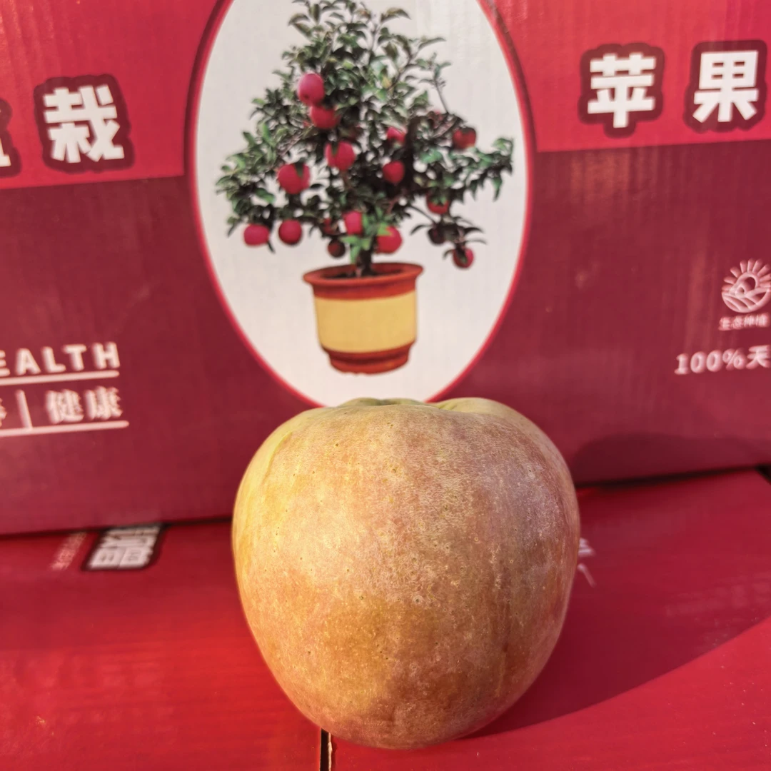 云南昭通丑苹果当季新鲜水果现摘现发脆甜多汁