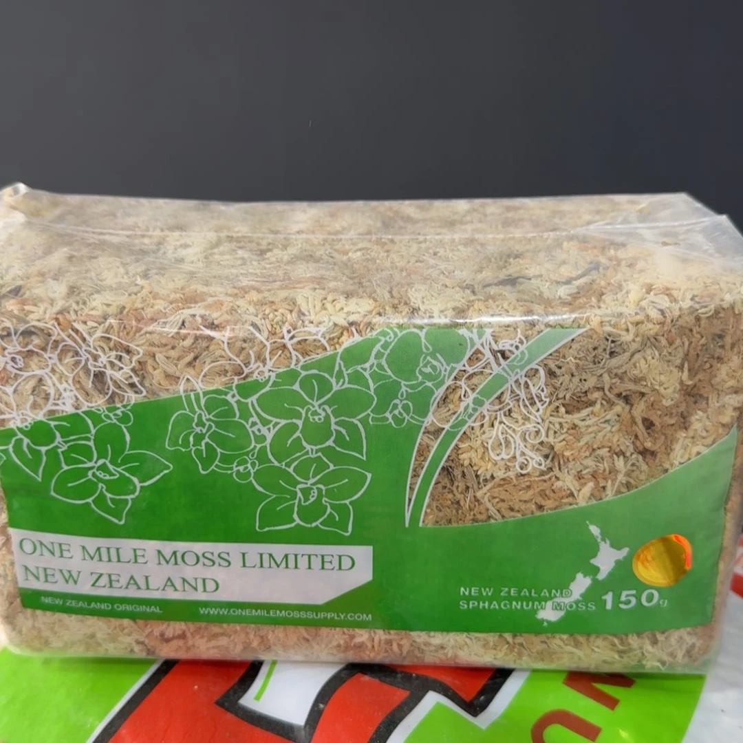 盆景盆景盆景紫园水苔150克