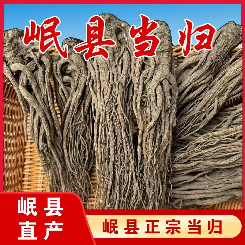 甘肃岷县 当归原条无硫滋补养生煲汤炖肉佳品