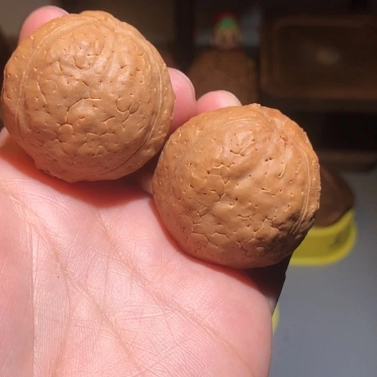 文玩核桃把件练手南瓜金刚菩提