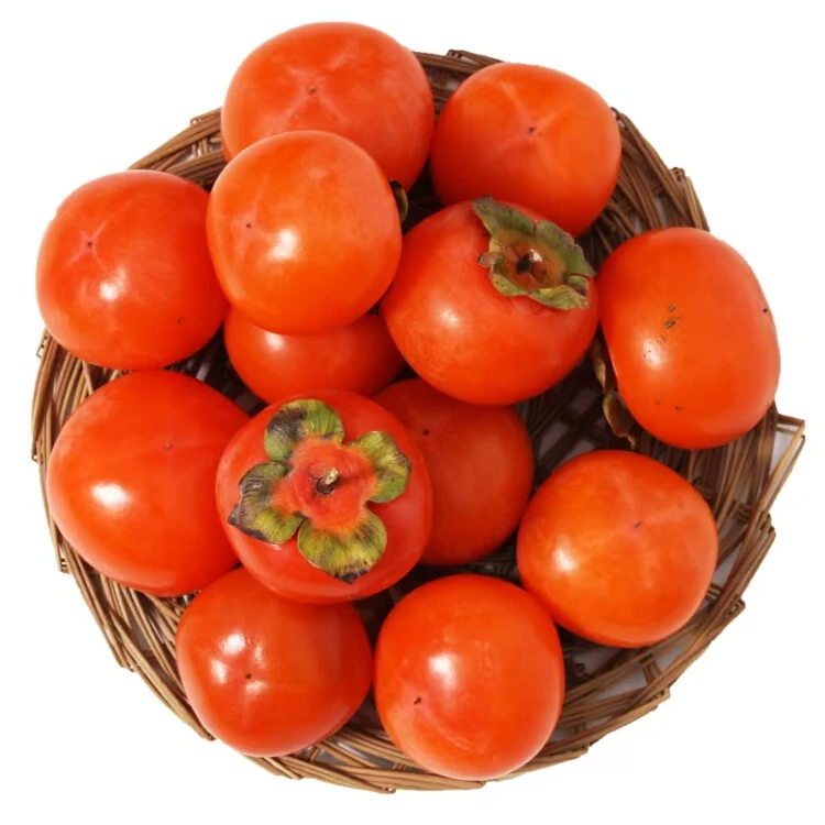 【陇小胖】新鲜采摘软柿子火晶柿子香甜可口皮薄肉厚当季水果