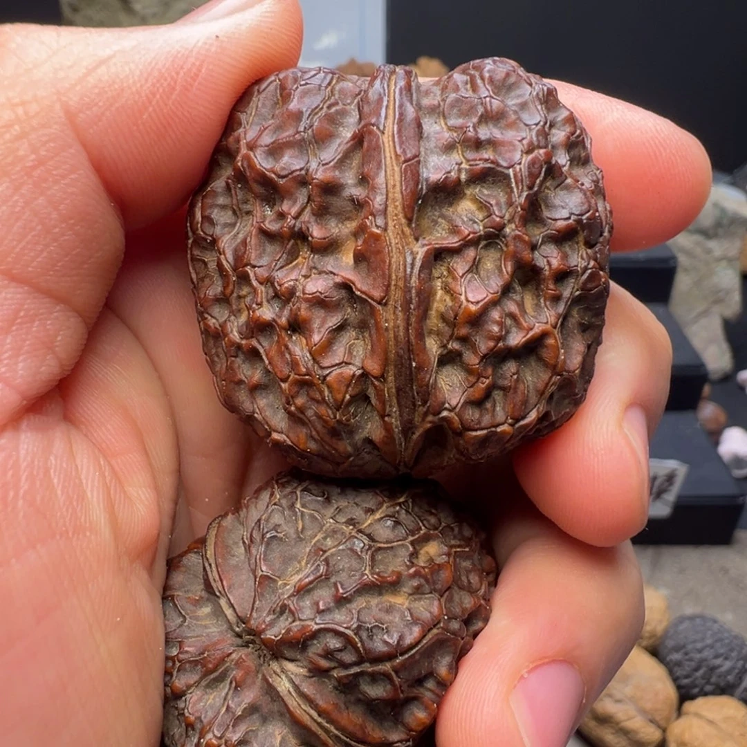 文玩核桃吊坠四方蟾41nm