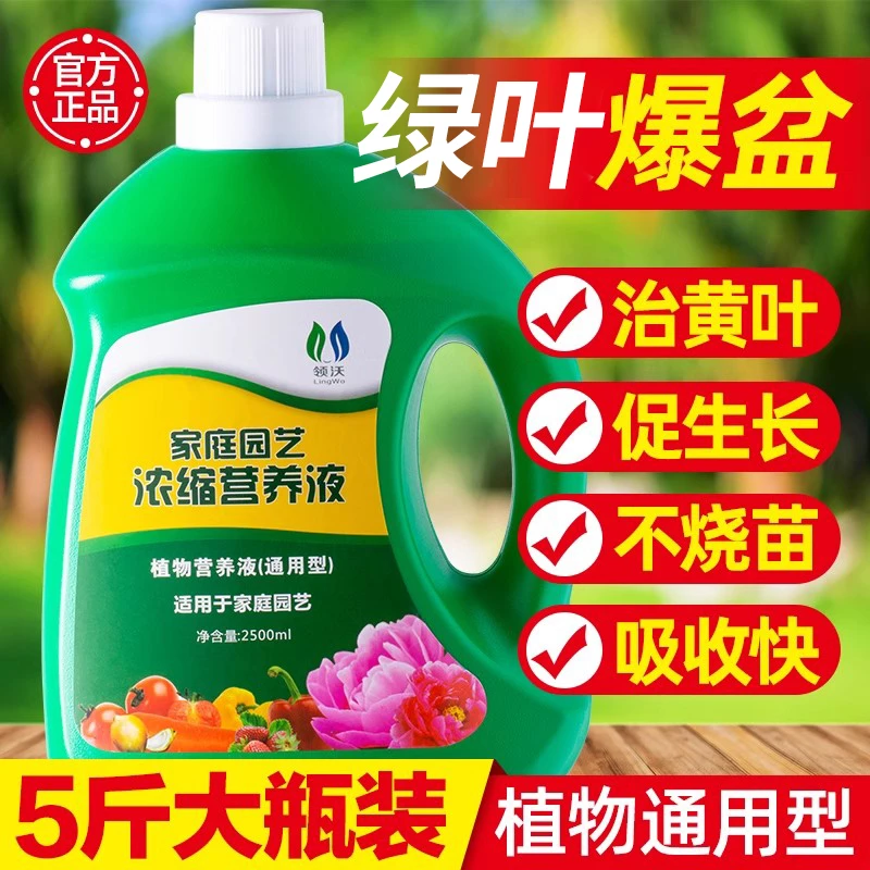 营养液植物通用型专用绿萝富贵竹发财树多肉水花卉绿植盆栽花肥料