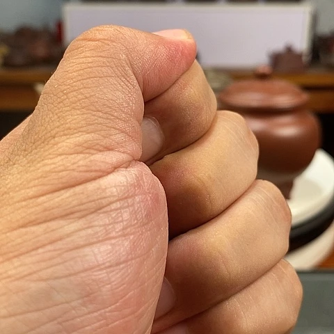 昵***拓茶壶紫砂紫砂壶艺术