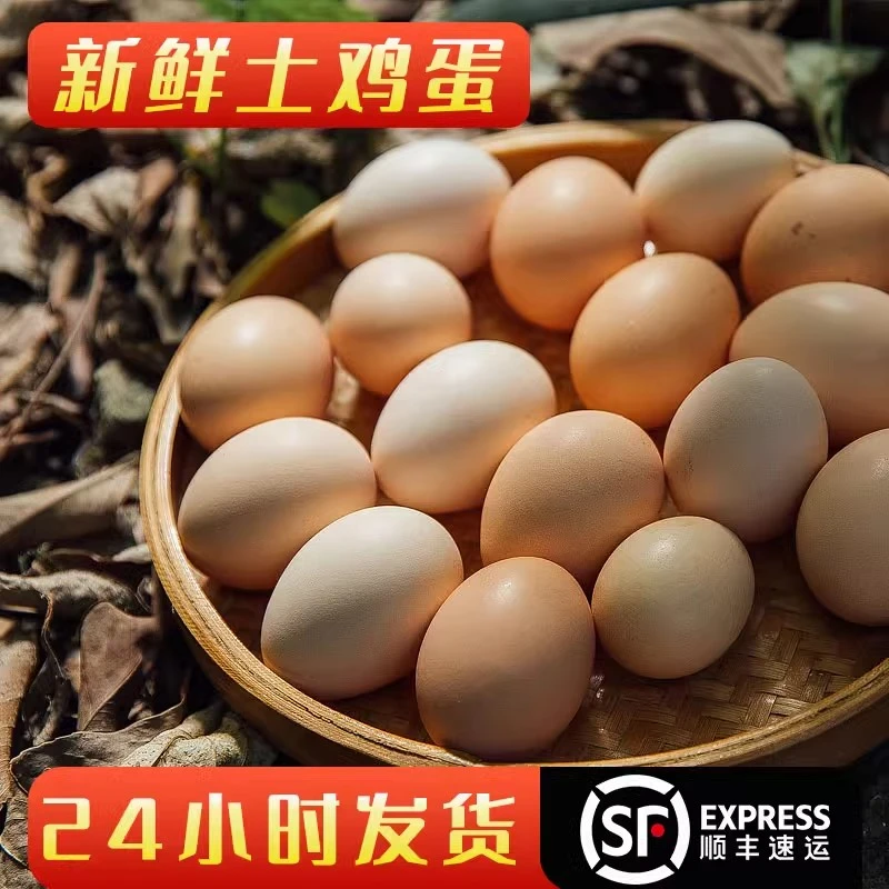 【小吴自营】江西赣南农家鸡蛋农家自产土鸡蛋孕妇小孩子营养散养