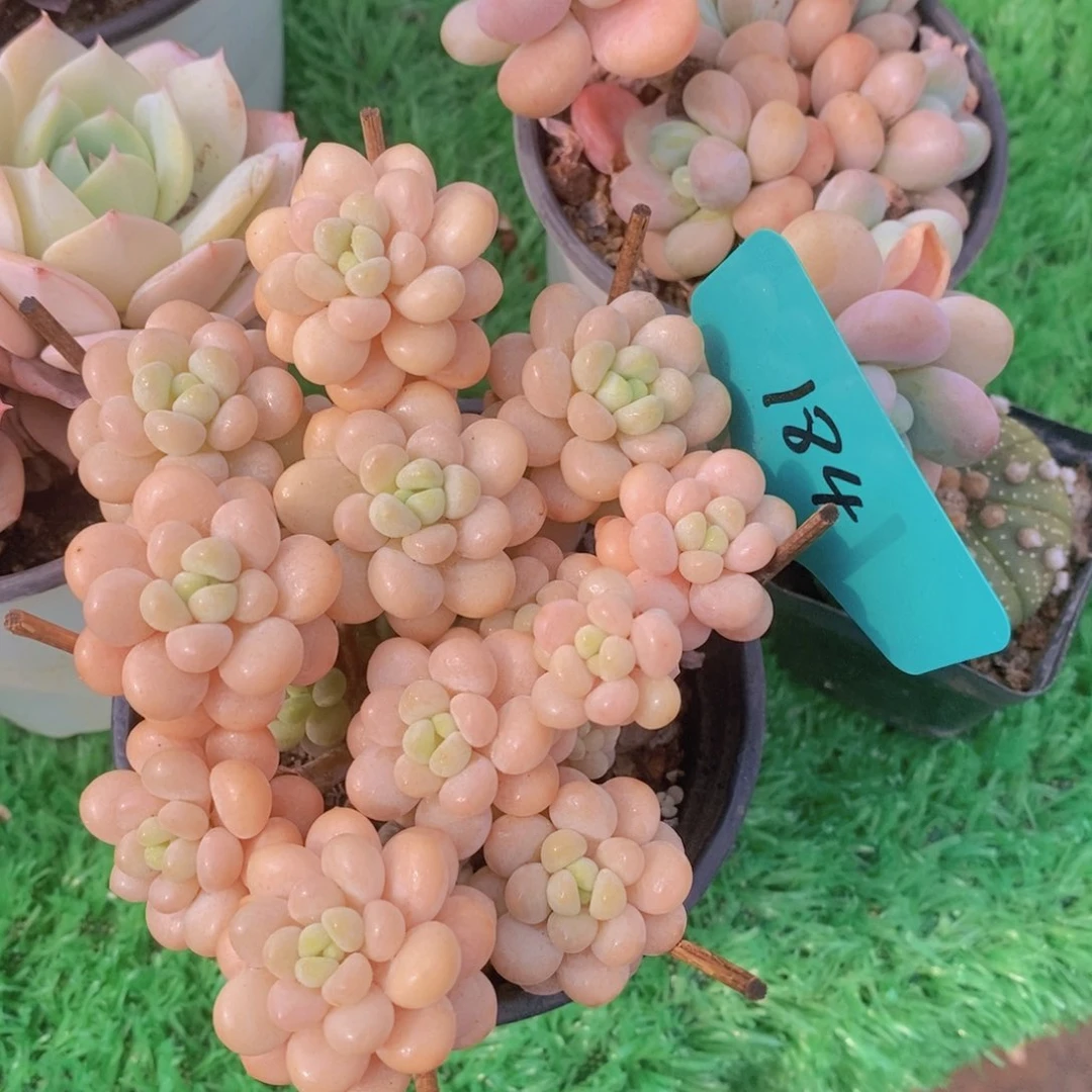 周末愉快，一单包邮