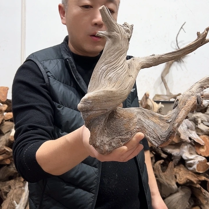 柏木天*阁清乾隆年制刻本等