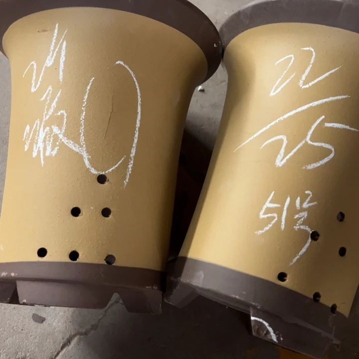 51…………………………………………