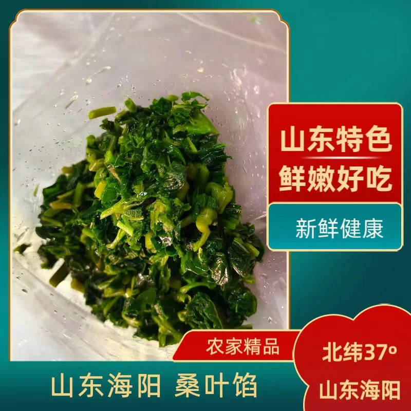 桑叶馅速冻饺子馄饨包子馅野生桑芽食材商用山东海阳特产桑叶馅料