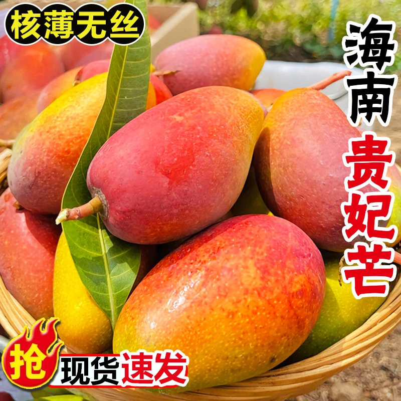 正宗海南贵妃芒新鲜采摘应季鲜果现货包邮