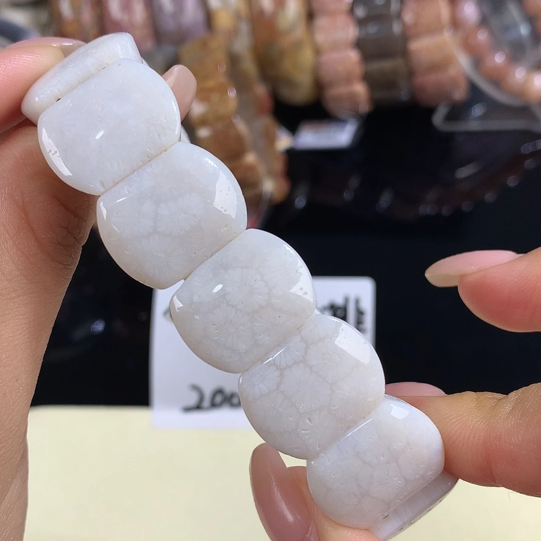 硅化珊瑚（珊瑚玉）未镶嵌吊坠(赠链)18号手排200漏128