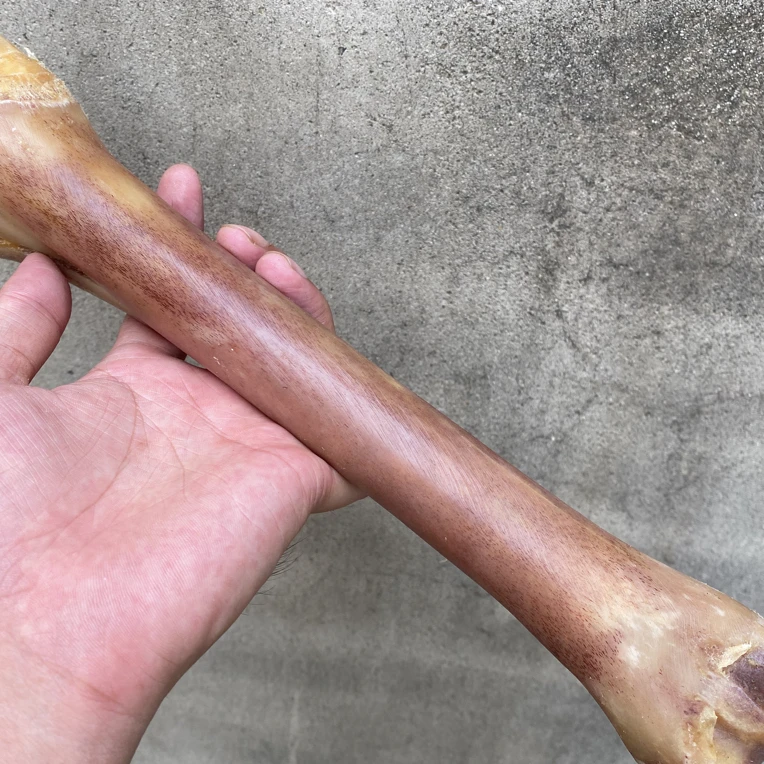非遗手工艺特色驼骨把件