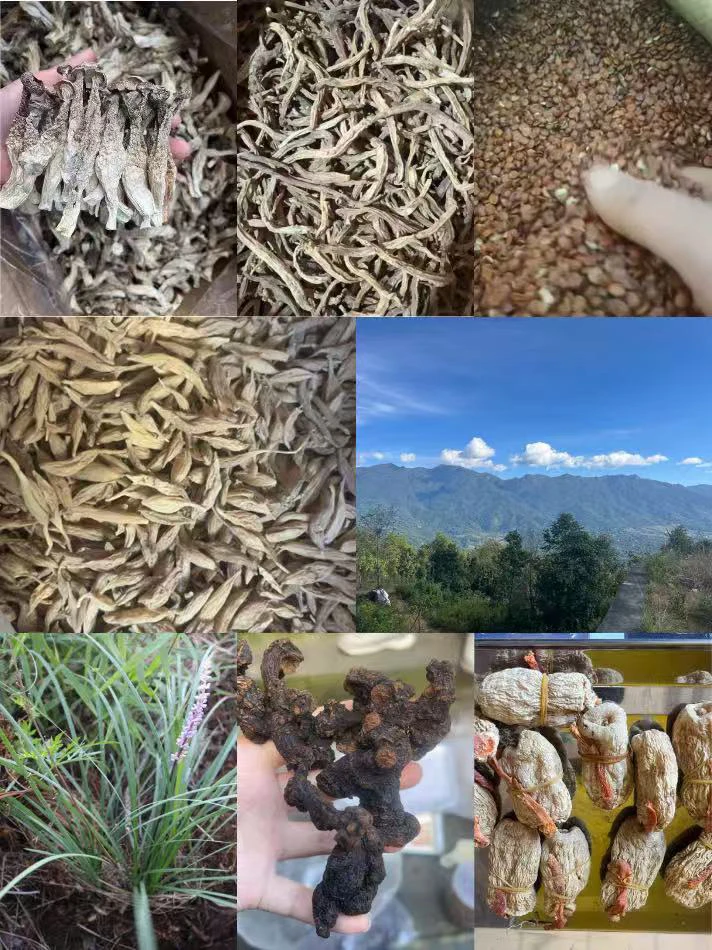 云南边贸山货土特产代购链接非菌菇