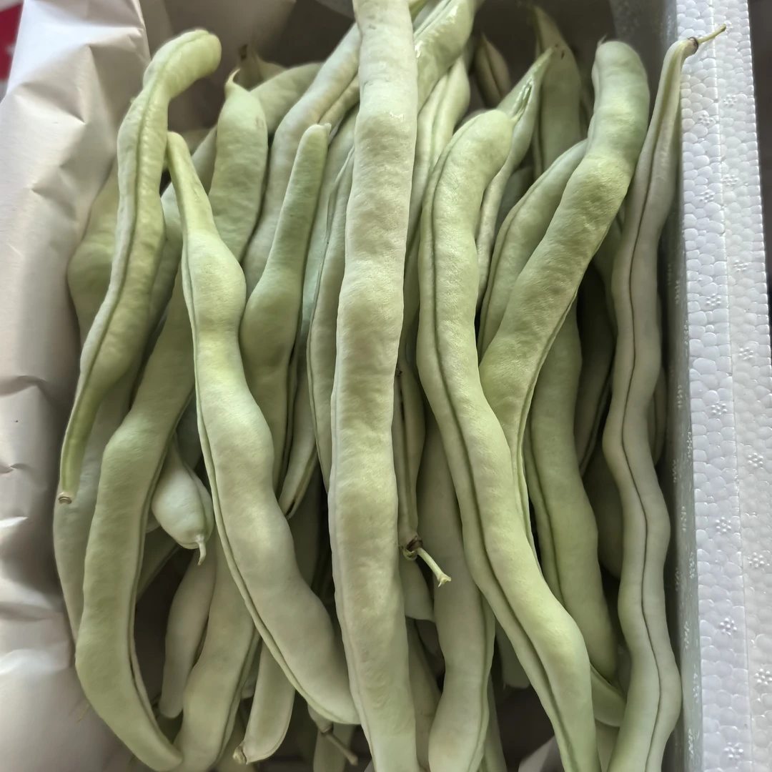 新鲜农家自种四季豆芸豆老豆角当季蔬菜包邮