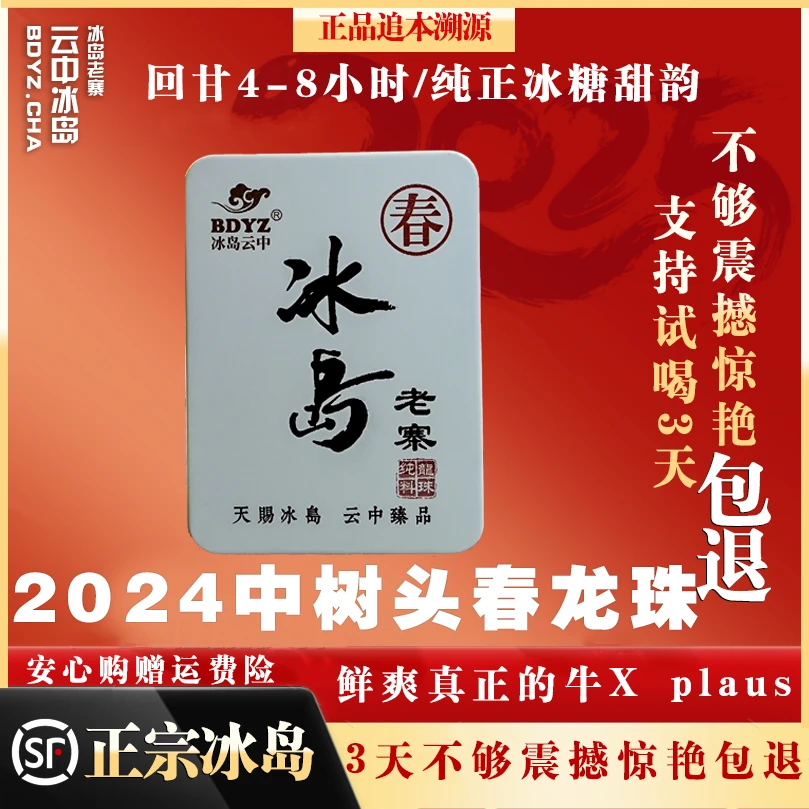 2024-25冰岛老寨中树头春龙珠5泡试喝装零农残激素有机产品
