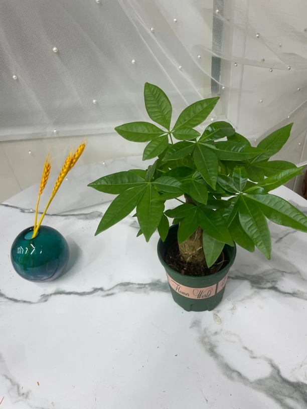 团团各种花卉。