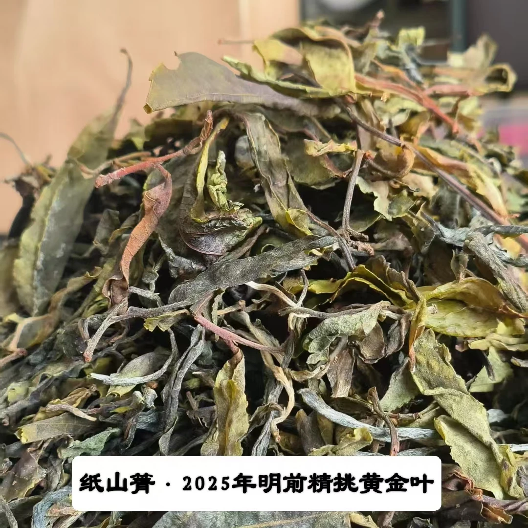 【副支书严选】2025年春.纸山箐明前茶精挑黄金叶