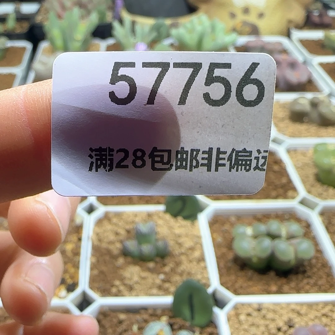 w***t哈哈哈哈哈哈哈哈57856