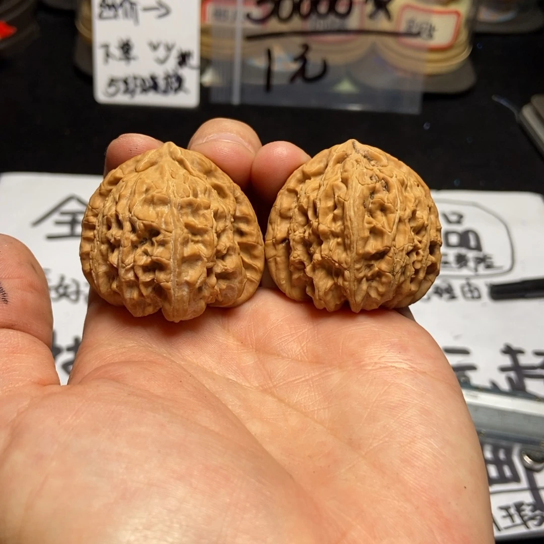 41三角白全品无修把件