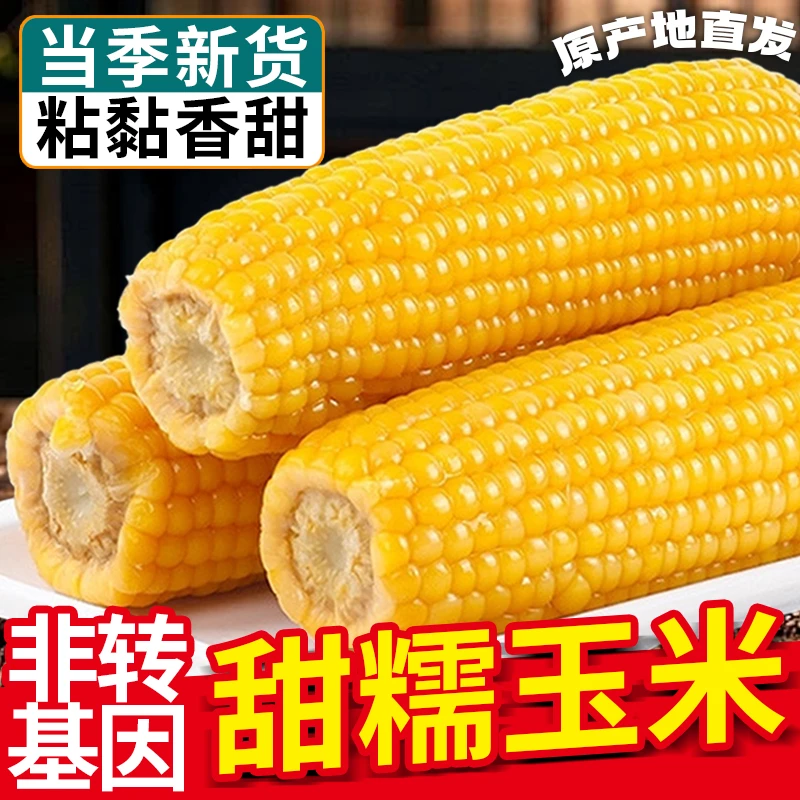 【试吃4棒】整箱8-10棒东北头茬黄糯玉米真空包装香甜软糯