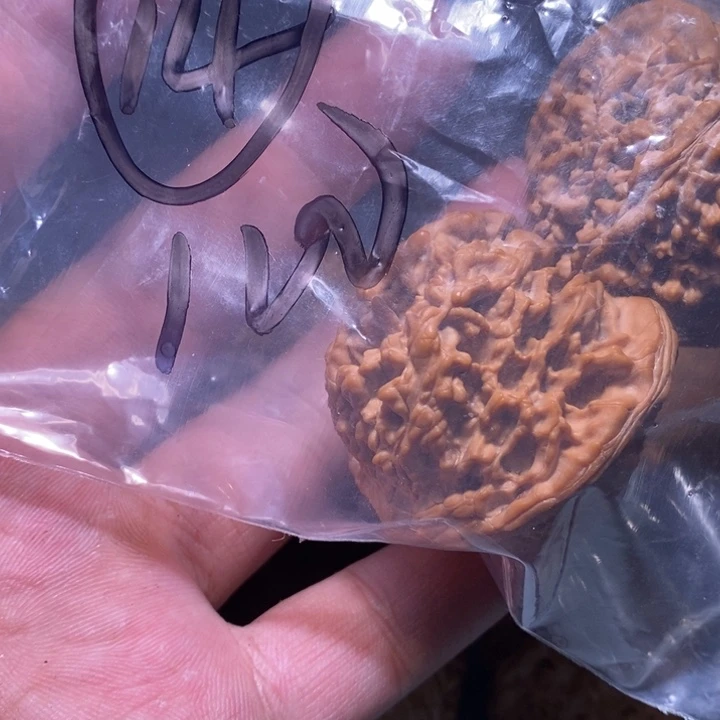 文玩核桃吊坠张*生14的的时候