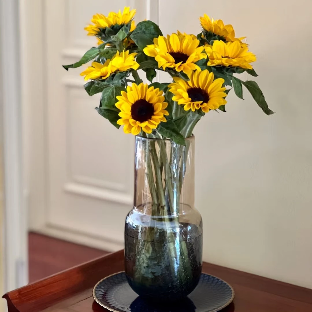 黑心向日葵五枝（点缀阳光）
