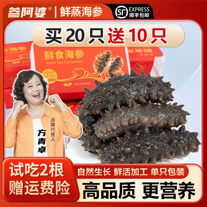 【展会专属】参阿婆鲜蒸即食海参新鲜海刺参买20头送10头非干参qB