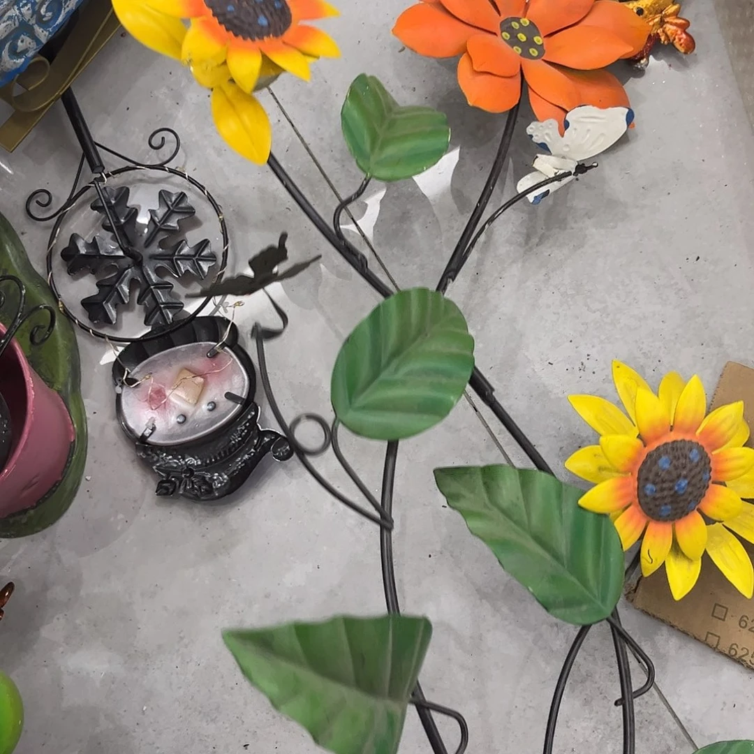 孤品给力哈哈哈哈