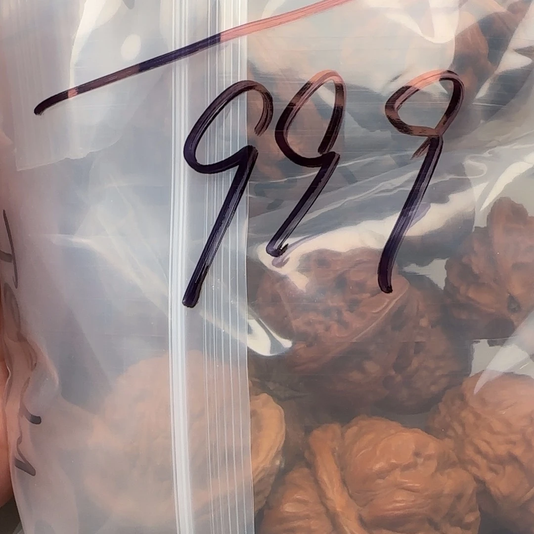 T***y25588841236985489