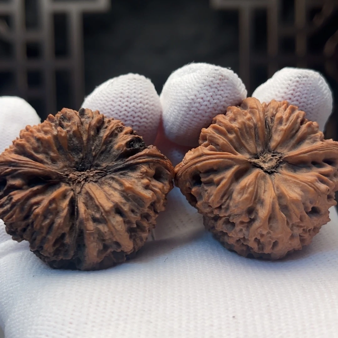 子***语文玩核桃吊坠南将