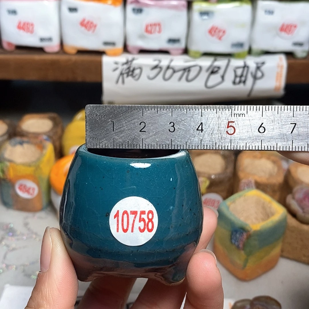 红陶拍5送一个小