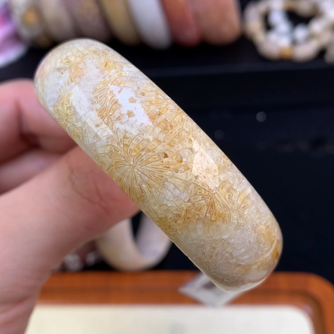 硅化珊瑚（珊瑚玉）未镶嵌颈饰49号54.1圈金丝凤尾