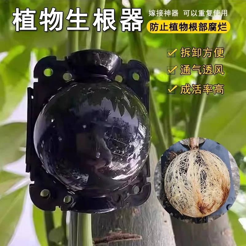 植物嫁接盒繁殖盒控根盒移植生根球花卉果树扦插育苗神器园艺