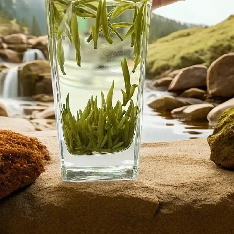 2025年雀舌全芽头小米芽头采高端礼品茶清香兰花香