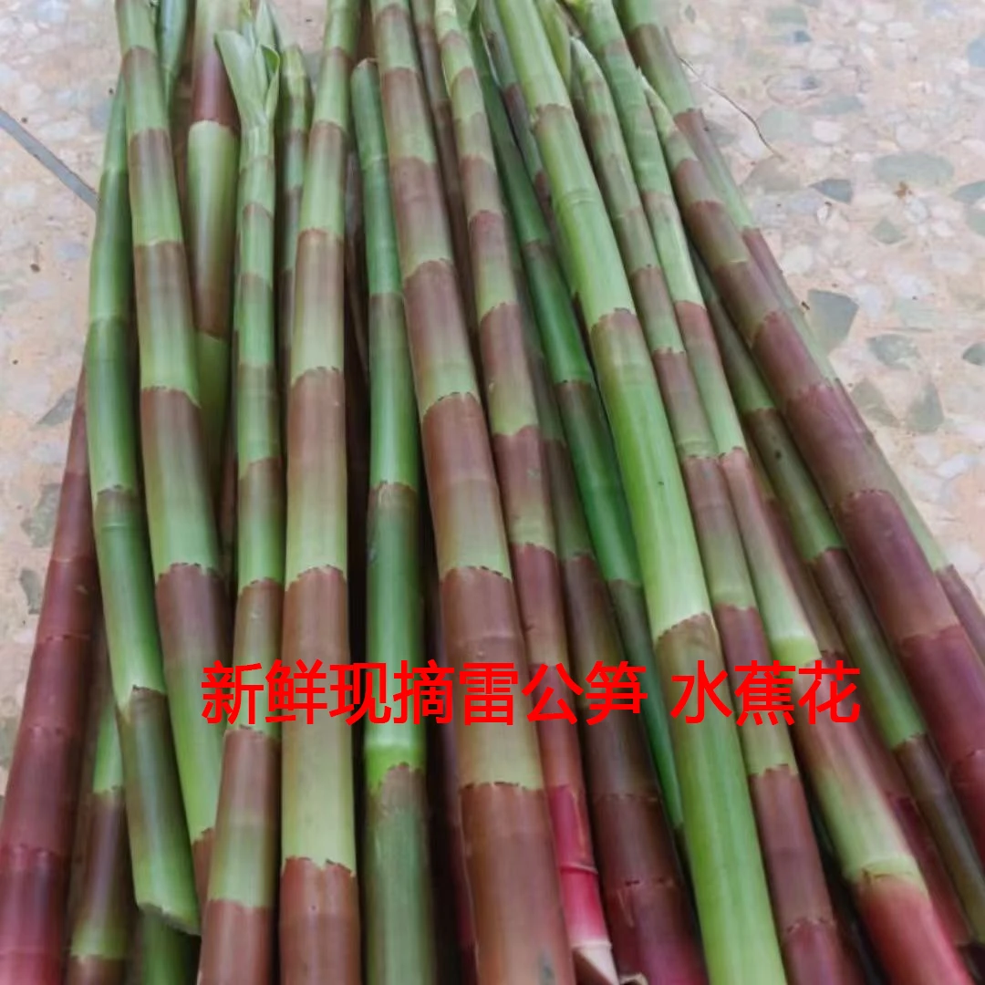 新鲜两广闭鞘姜雷公笋广商陆水蕉花嫩芽 海南酸白石笋3斤/5斤包邮