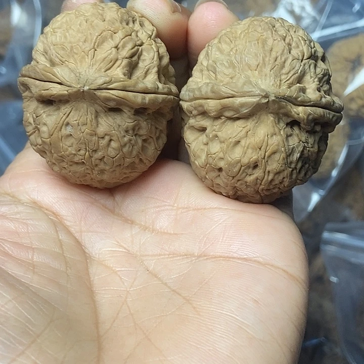 把件文玩核桃云南铁核桃基地20