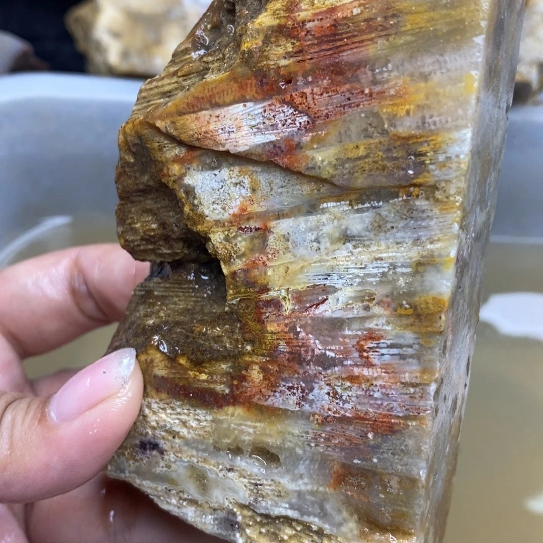 【闪购商品】未镶嵌珊瑚玉硅化玉